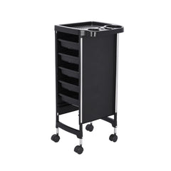 DS BD 6 Tier Hair Salon Trolley Spa Beauty Parlor Hairdressing Tool Rolling Pull