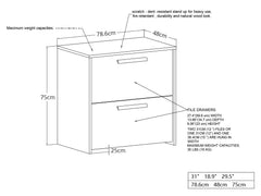 2-Drawer Lateral File