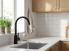 Black Kitchen Faucet - Gooseneck