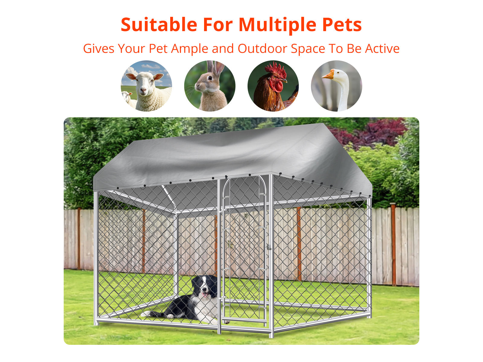 Dog Run with Roof - 2.3m x 2.3m x 1.7m