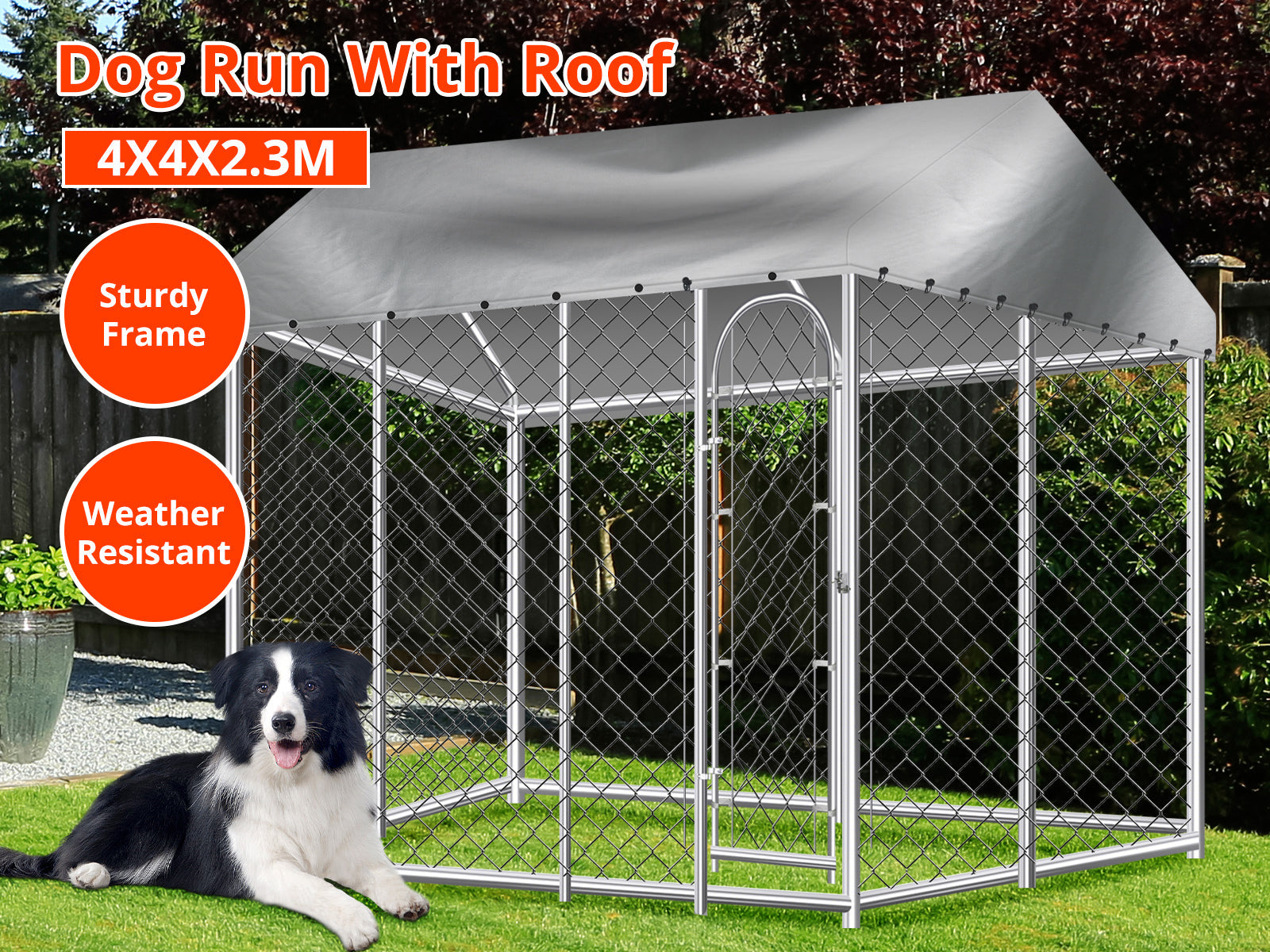 Dog Run with Roof - 4m x 4m x 2.3m
