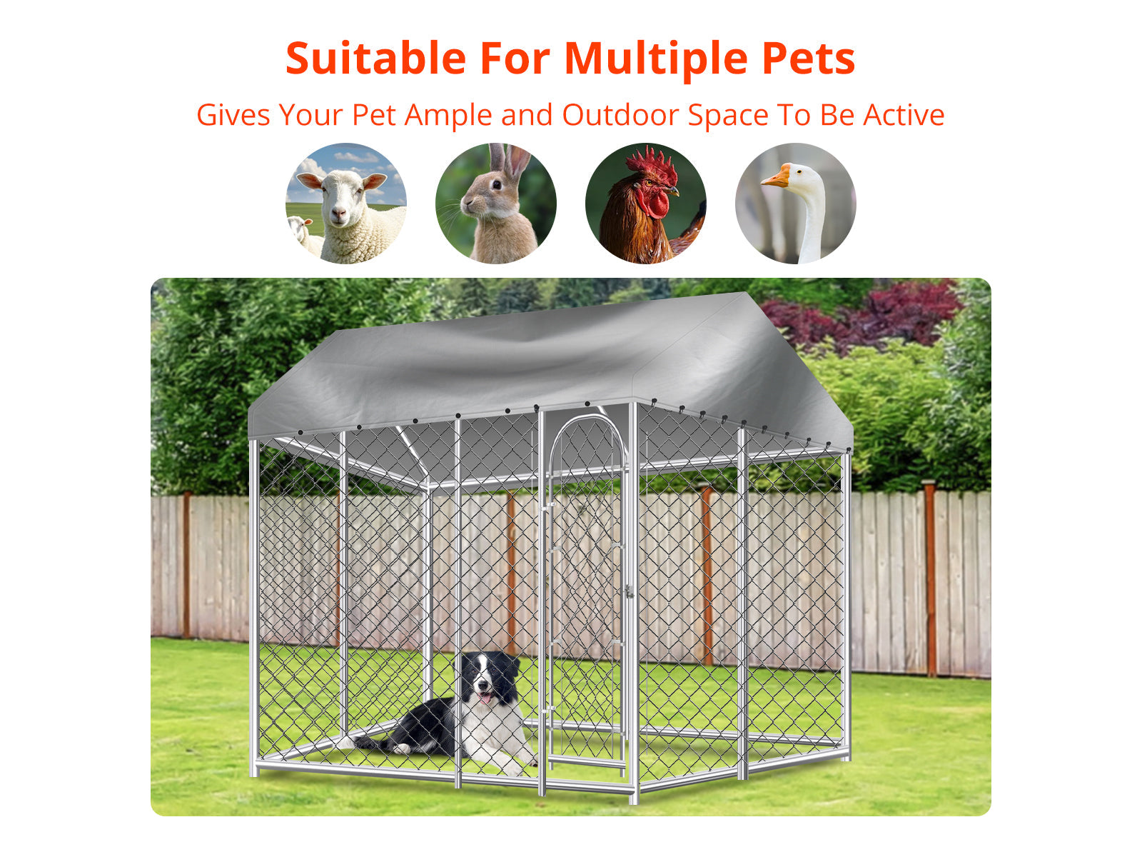 Dog Run with Roof - 4m x 4m x 2.3m