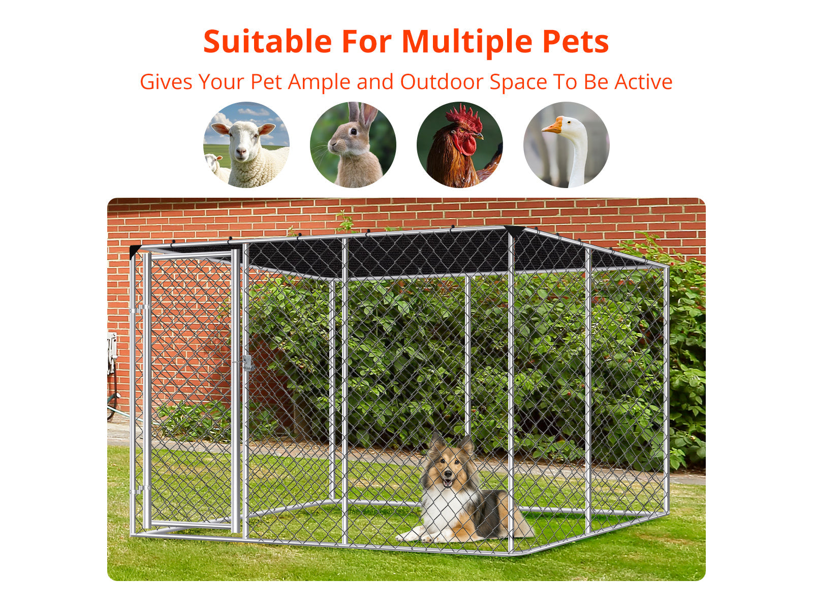 Dog Run with Shade Sail - 3m x 3m x 1.8m
