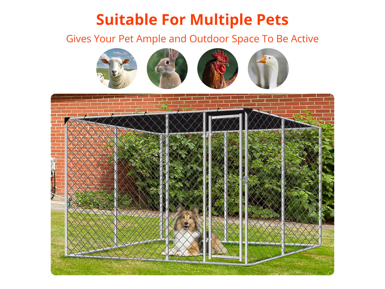 Dog run D with shade sail 4x4x1.8m