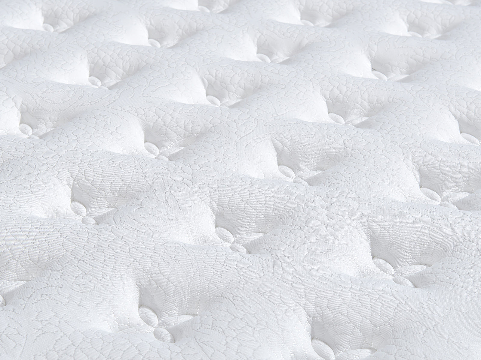 Darcy Metal Bed Frame White & Euro Top Mattress G31 - Queen