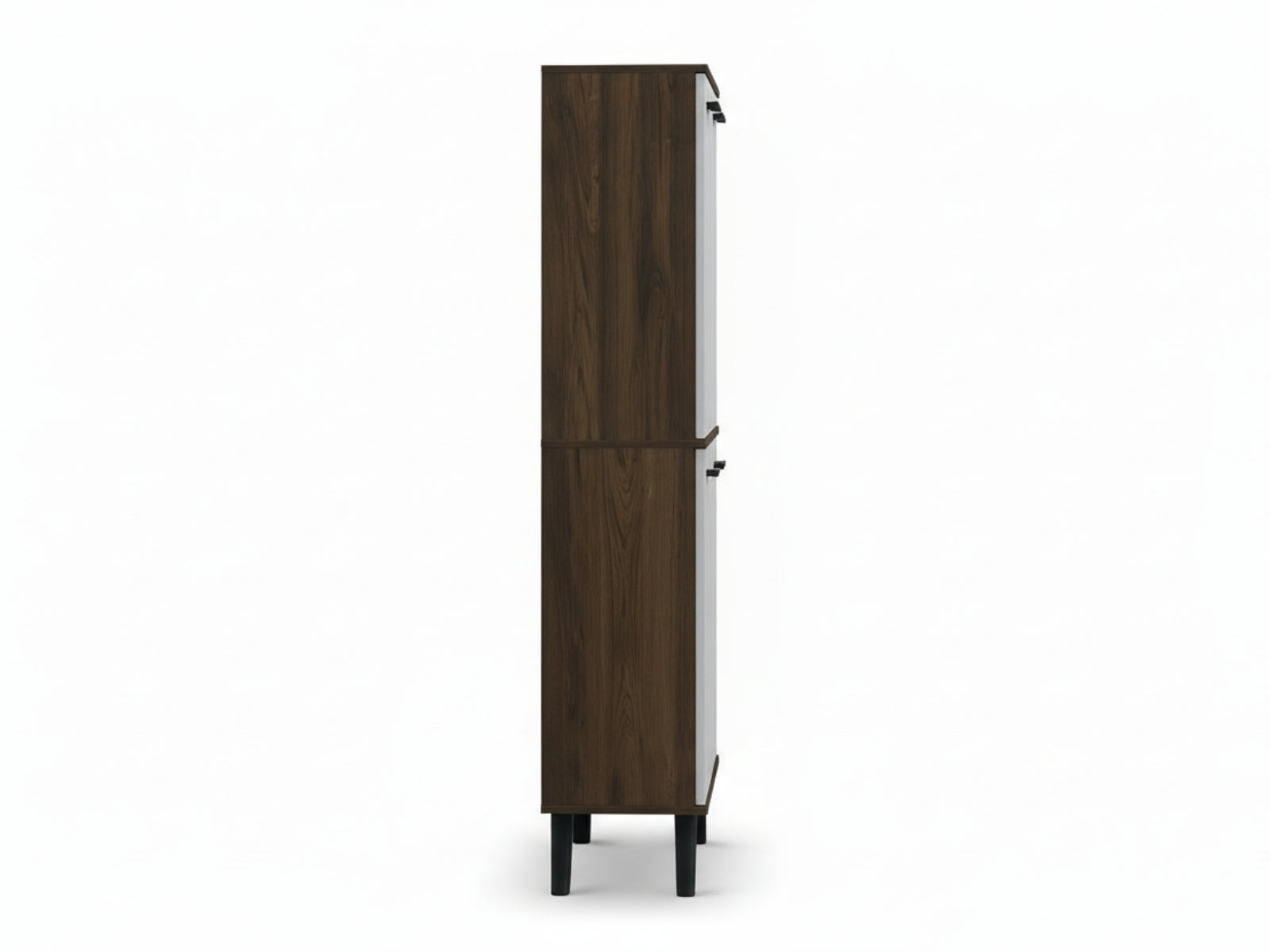 Dallars 4-Door Shoe Storage Cabinet
