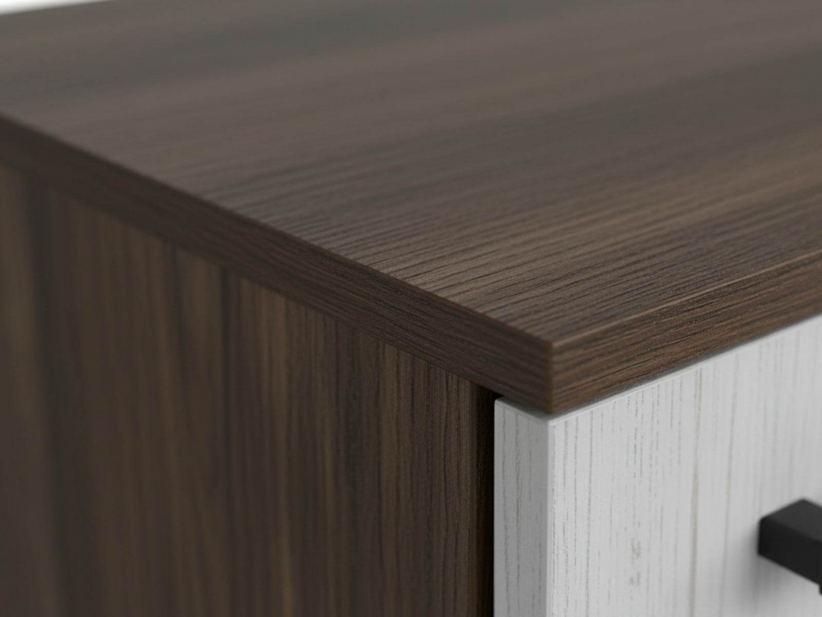 Dallars 4-Door Shoe Storage Cabinet