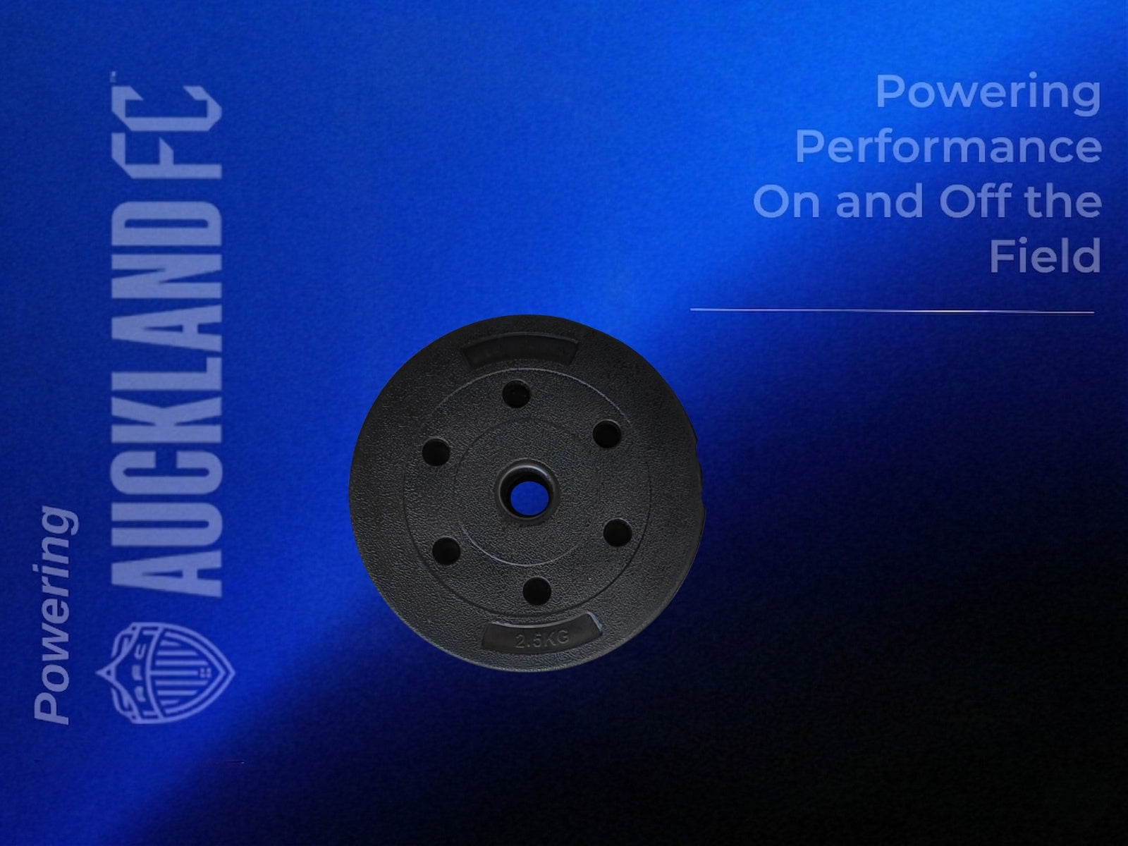 Cement Weight Plates 2.5kg - Set of 8